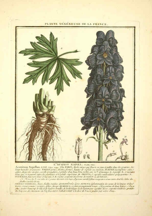 Reproducción/Reproduction 6050089964: Herbier de la France. 1-48. Paris,Chez l'auteur, Didot, Debure, Belin,1780-93