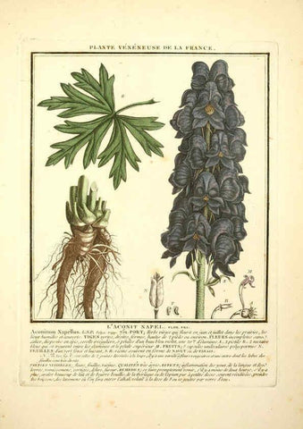 Reproducción/Reproduction 6050089964: Herbier de la France. 1-48. Paris,Chez l'auteur, Didot, Debure, Belin,1780-93