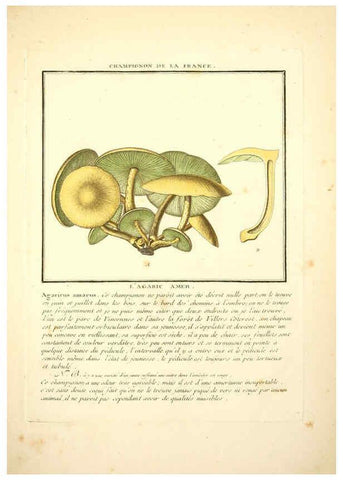 Reproducción/Reproduction 6050083556: Herbier de la France. 1-48. Paris,Chez l'auteur, Didot, Debure, Belin,1780-93