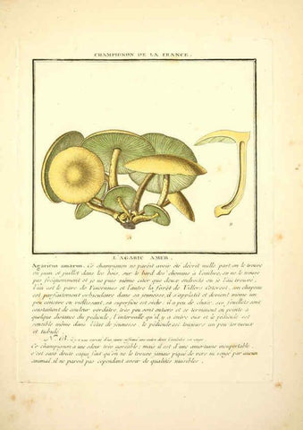 Reproducción/Reproduction 6050083556: Herbier de la France. 1-48. Paris,Chez l'auteur, Didot, Debure, Belin,1780-93