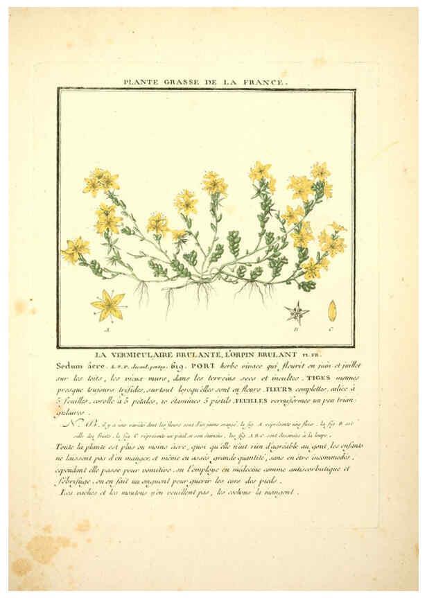 Reproducción/Reproduction 6050083822: Herbier de la France. 1-48. Paris,Chez l'auteur, Didot, Debure, Belin,1780-93