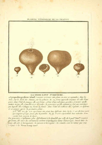 Reproducción/Reproduction 6050085060: Herbier de la France. 1-48. Paris,Chez l'auteur, Didot, Debure, Belin,1780-93