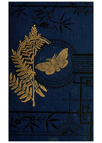 Reproducción/Reproduction 6029361783: The common moths of England Glasgow, Manchester, and New York,George Routledge and Sons ;[1870] 