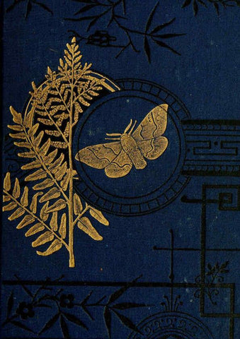 Reproducción/Reproduction 6029361783: The common moths of England Glasgow, Manchester, and New York,George Routledge and Sons ;[1870] 