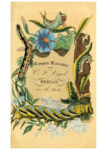 Reproducción/Reproduction 6029993554: Chronologischer Raupenkalender, oder, Naturgeschichte der europäischen Raupen Berlin :Im Verlage von Theodor Bade,1837