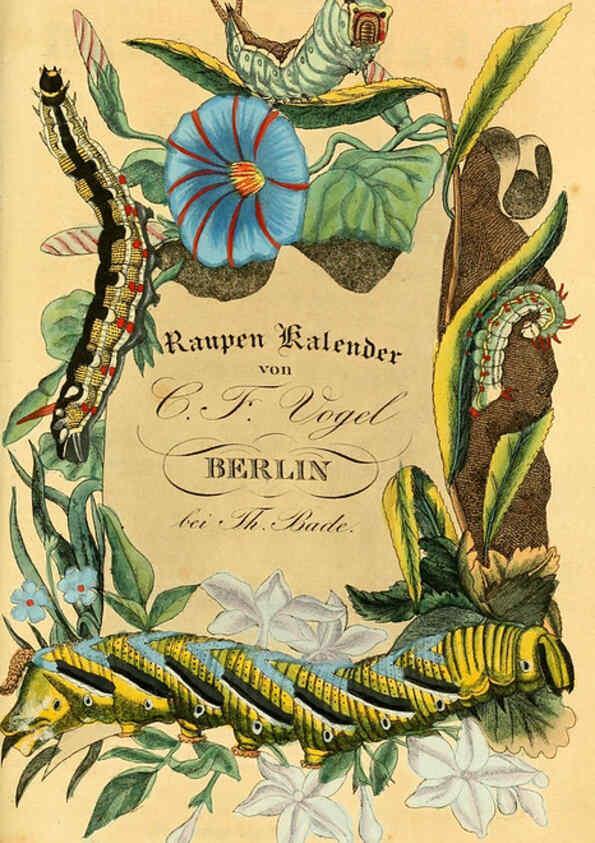 Reproducción/Reproduction 6029993554: Chronologischer Raupenkalender, oder, Naturgeschichte der europäischen Raupen Berlin :Im Verlage von Theodor Bade,1837