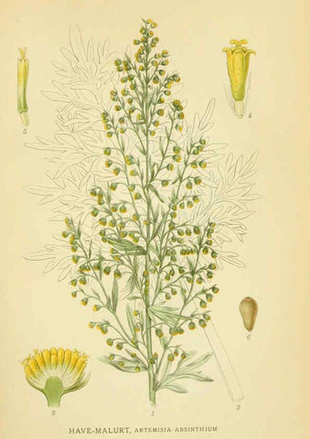 Reproducción/Reproduction 6029264660: Billeder af nordens flora. v.1 København,G.E.C. Gad's forlag,1917-1927