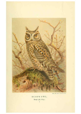 Reproducción/Reproduction 6029173914: Coloured figures of the birds of the British Islands. v.1 London :R. H. Porter,1885-1897