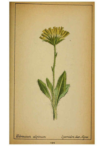 Reproducción/Reproduction 6031671811: Choix de plantes de l'Europe centrale et particulièrement de la Suisse et de la Savoie Genève,F. Richard,1878