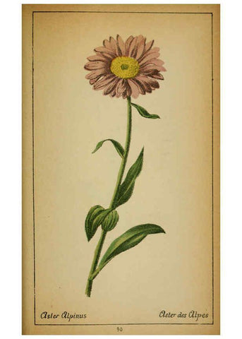 Reproducción/Reproduction 6032227190: Choix de plantes de l'Europe centrale et particulièrement de la Suisse et de la Savoie Genève,F. Richard,1878