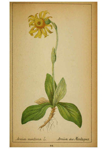 Reproducción/Reproduction 6032227532: Choix de plantes de l'Europe centrale et particulièrement de la Suisse et de la Savoie Genève,F. Richard,1878