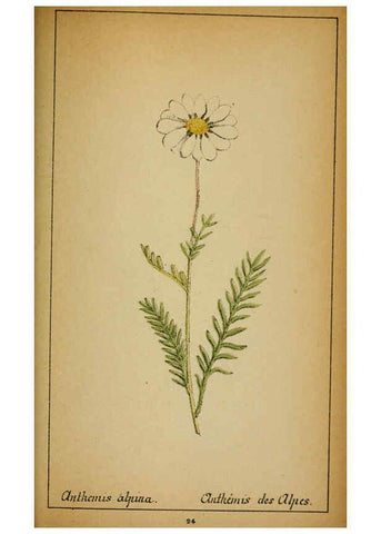Reproducción/Reproduction 6032227902: Choix de plantes de l'Europe centrale et particulièrement de la Suisse et de la Savoie Genève,F. Richard,1878