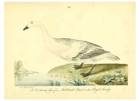 Reproducción/Reproduction 6073290158: Nouvelles illustrations de zoologie A Londres :Imprimé pour B. White ...,1776