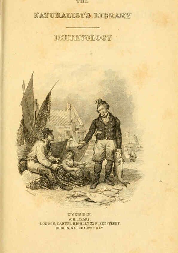 Reproducción/Reproduction 6072563697: The natural history of British fishes. v.1. Edinburgh,W. H. Lizars; [etc.]1843