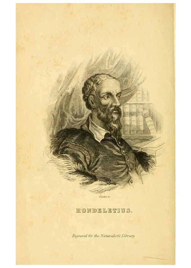 Reproducción/Reproduction 6073105108: The natural history of British fishes. v.1. Edinburgh,W. H. Lizars; [etc.]1843