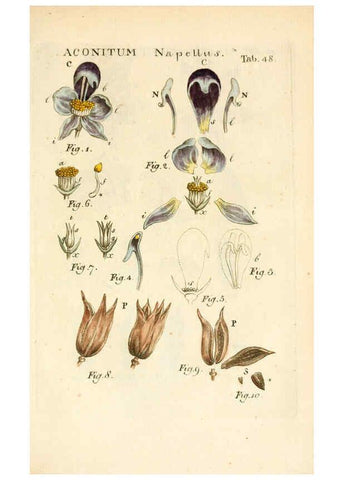 Reproducción/Reproduction 6059662660: Illustratio systematis sexualis Linnaeani Francofurti ad Moenum,Varrentrapp et Wenner,1789