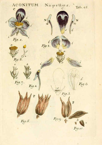 Reproducción/Reproduction 6059662660: Illustratio systematis sexualis Linnaeani Francofurti ad Moenum,Varrentrapp et Wenner,1789