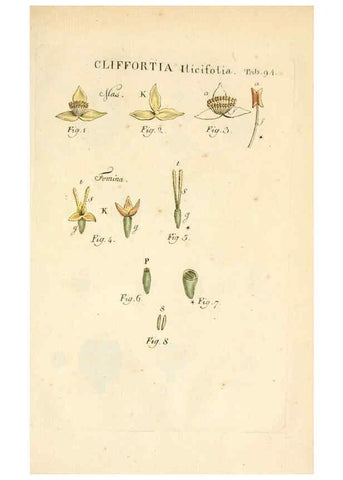 Reproducción/Reproduction 6059125177: Illustratio systematis sexualis Linnaeani Francofurti ad Moenum,Varrentrapp et Wenner,1789