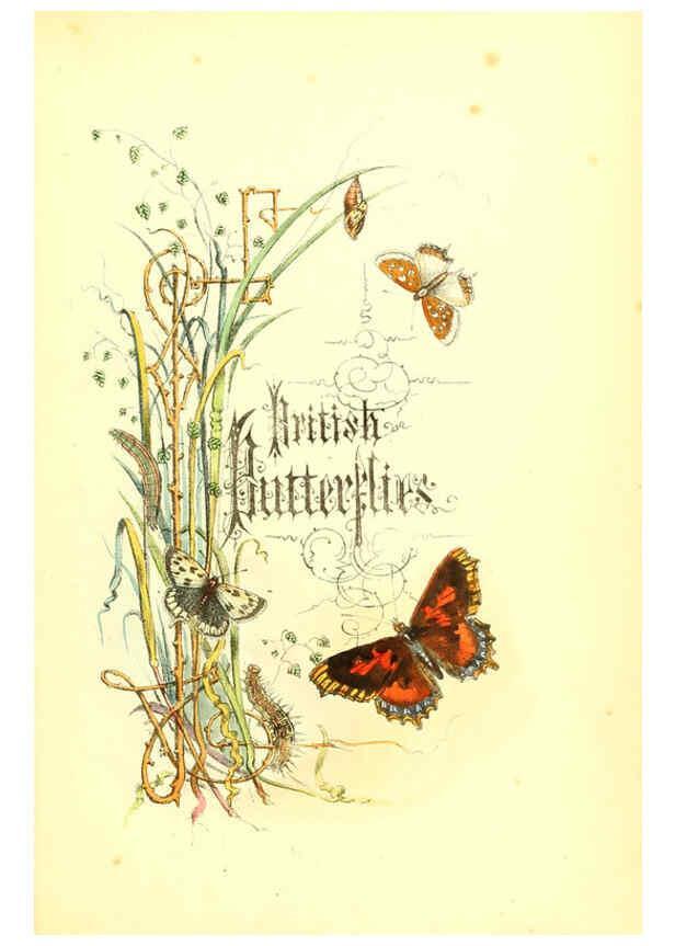 Reproducción/Reproduction 6069020345: The genera and species of British butterflies London :T.J. Allman ...,[1860?] 