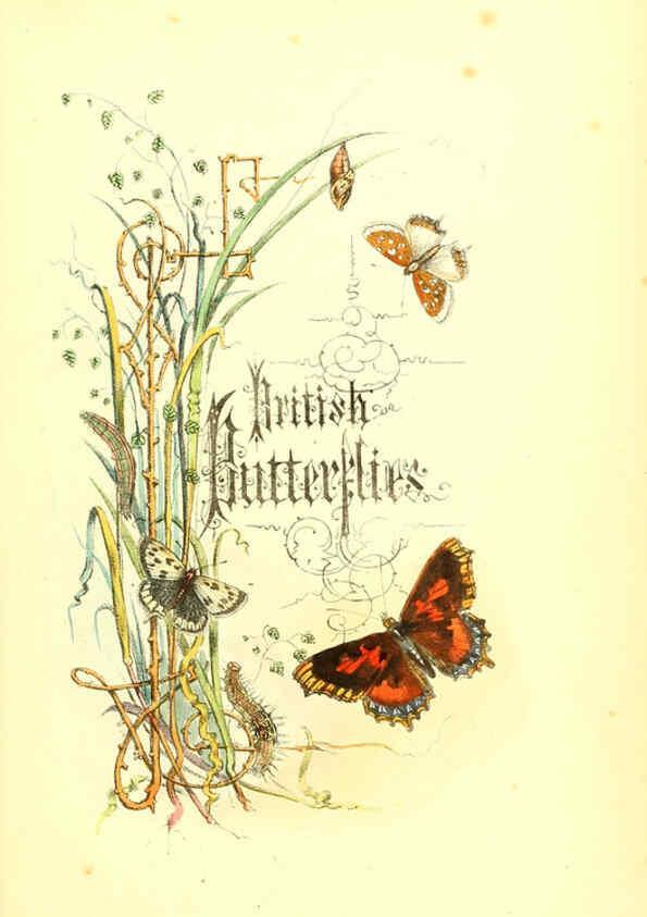 Reproducción/Reproduction 6069020345: The genera and species of British butterflies London :T.J. Allman ...,[1860?] 