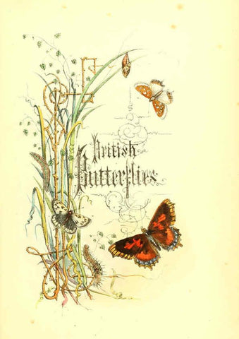 Reproducción/Reproduction 6069020345: The genera and species of British butterflies London :T.J. Allman ...,[1860?] 