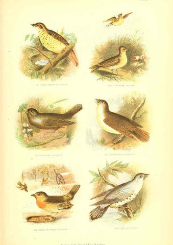 Reproducción/Reproduction 6069518958: The living world. v.1. Boston :Samuel Walker & Co.,1868-1870, c1868