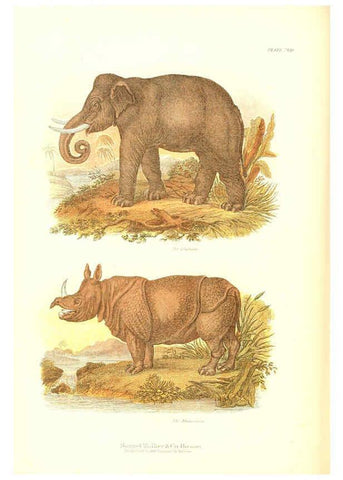 Reproducción/Reproduction 6068969459: The living world. v.1. Boston :Samuel Walker & Co.,1868-1870, c1868