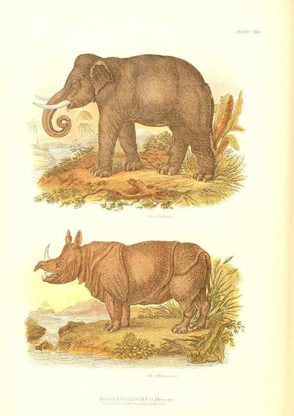 Reproducción/Reproduction 6068969459: The living world. v.1. Boston :Samuel Walker & Co.,1868-1870, c1868