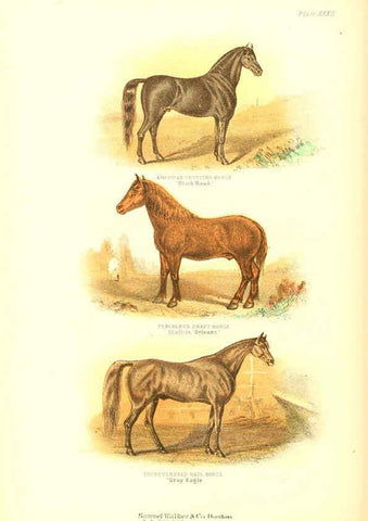 Reproducción/Reproduction 6069517492: The living world. v.1. Boston :Samuel Walker & Co.,1868-1870, c1868