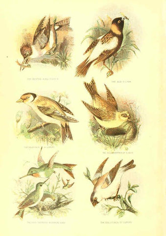 Reproducción/Reproduction 6069514094: The living world. v.1. Boston :Samuel Walker & Co.,1868-1870, c1868