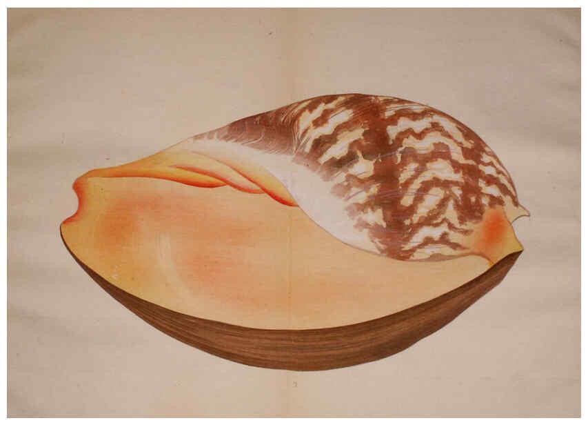 Reproducción/Reproduction 6059266697: Kaisenshu. v.1. Kyoto :Yamada Naozoburo,1914-1915