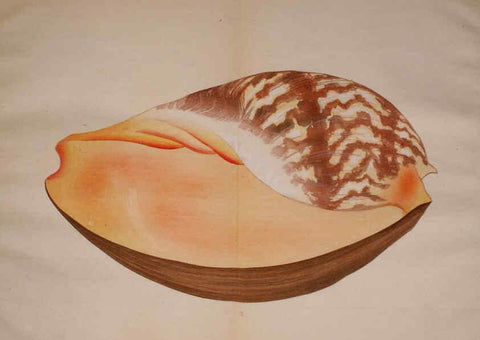 Reproducción/Reproduction 6059266697: Kaisenshu. v.1. Kyoto :Yamada Naozoburo,1914-1915
