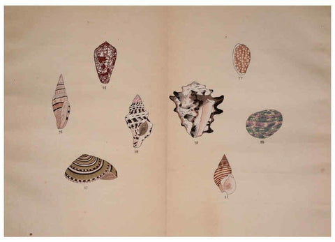 Reproducción/Reproduction 6059811212: Kaisenshu. v.1. Kyoto :Yamada Naozoburo,1914-1915