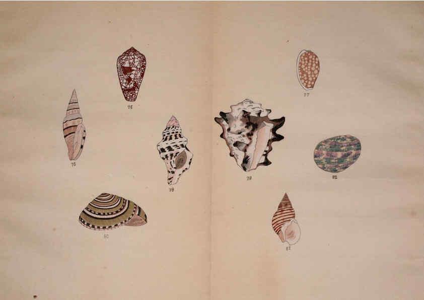 Reproducción/Reproduction 6059811212: Kaisenshu. v.1. Kyoto :Yamada Naozoburo,1914-1915