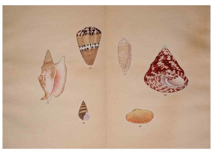 Reproducción/Reproduction 6059811640: Kaisenshu. v.1. Kyoto :Yamada Naozoburo,1914-1915