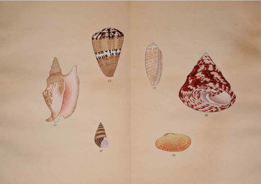 Reproducción/Reproduction 6059811640: Kaisenshu. v.1. Kyoto :Yamada Naozoburo,1914-1915