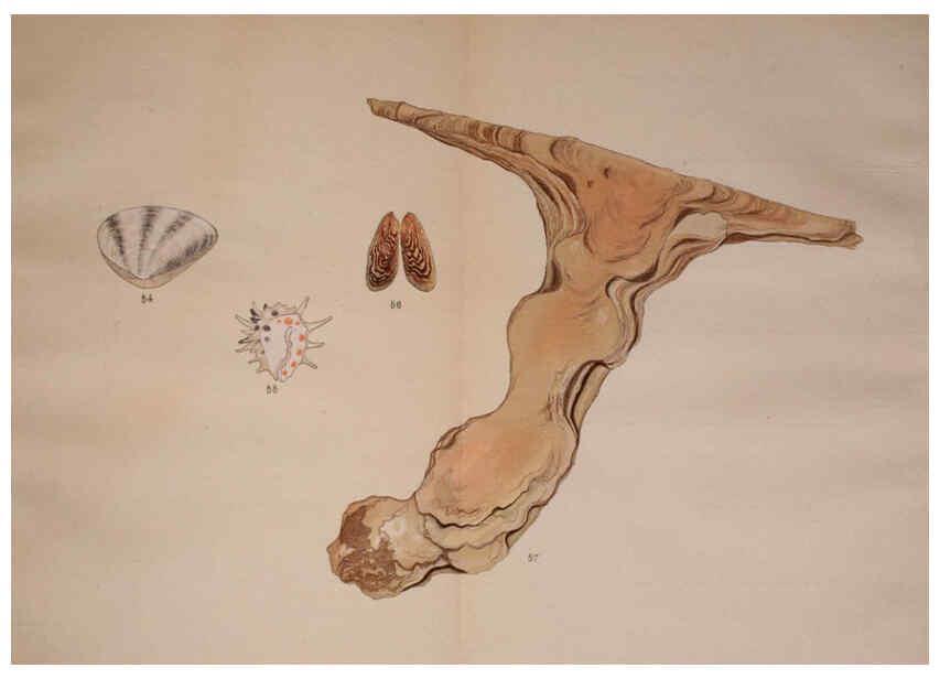 Reproducción/Reproduction 6059264145: Kaisenshu. v.1. Kyoto :Yamada Naozoburo,1914-1915