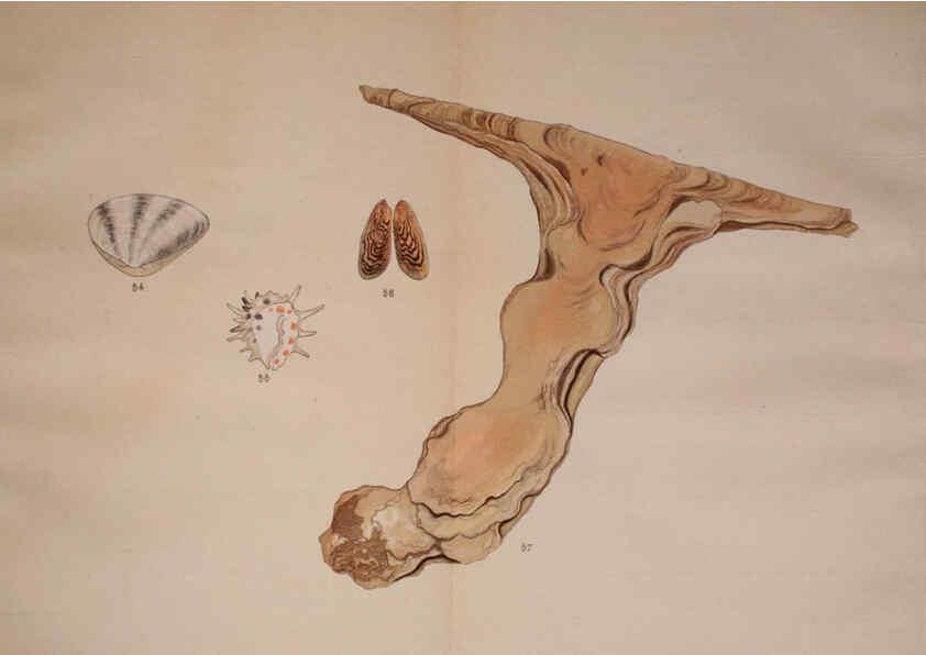 Reproducción/Reproduction 6059264145: Kaisenshu. v.1. Kyoto :Yamada Naozoburo,1914-1915