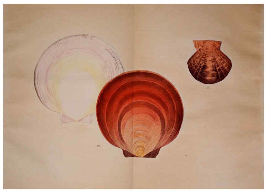 Reproducción/Reproduction 6059810632: Kaisenshu. v.1. Kyoto :Yamada Naozoburo,1914-1915