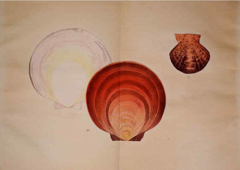 Reproducción/Reproduction 6059810632: Kaisenshu. v.1. Kyoto :Yamada Naozoburo,1914-1915