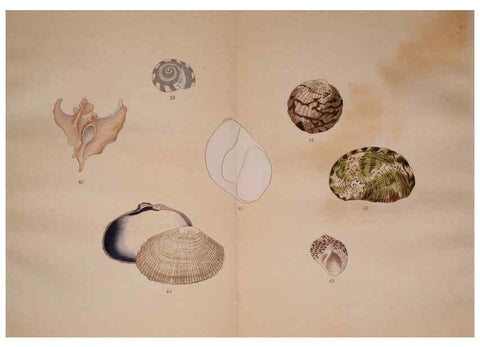 Reproducción/Reproduction 6059264661: Kaisenshu. v.1. Kyoto :Yamada Naozoburo,1914-1915