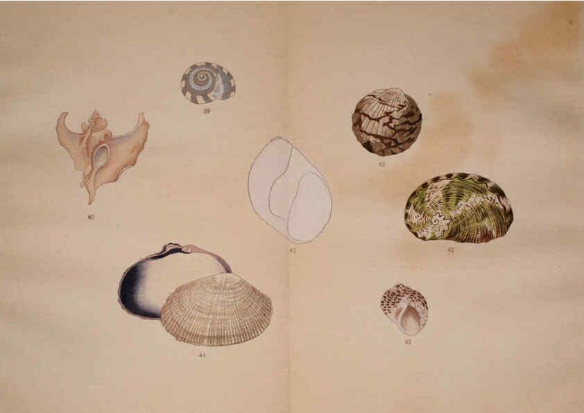 Reproducción/Reproduction 6059264661: Kaisenshu. v.1. Kyoto :Yamada Naozoburo,1914-1915