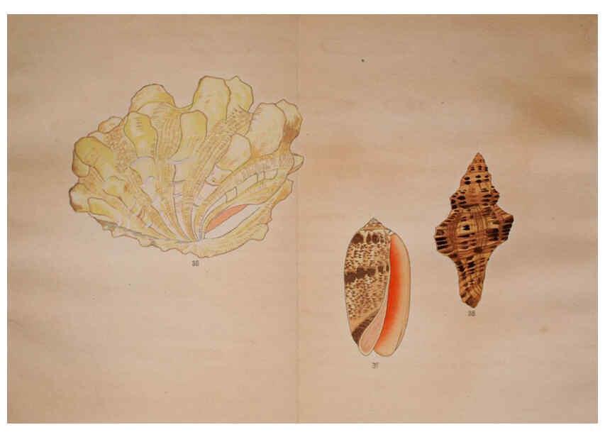 Reproducción/Reproduction 6059264855: Kaisenshu. v.1. Kyoto :Yamada Naozoburo,1914-1915
