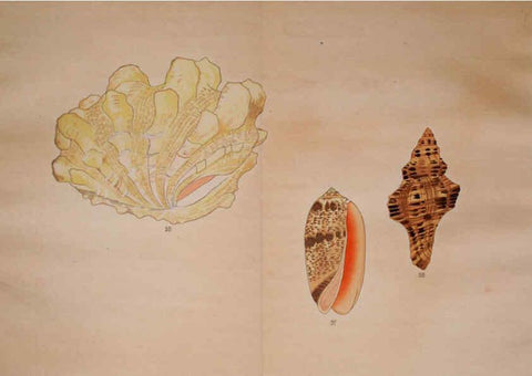 Reproducción/Reproduction 6059264855: Kaisenshu. v.1. Kyoto :Yamada Naozoburo,1914-1915