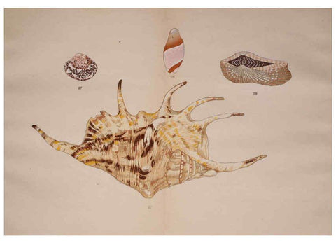 Reproducción/Reproduction 6059813152: Kaisenshu. v.1. Kyoto :Yamada Naozoburo,1914-1915