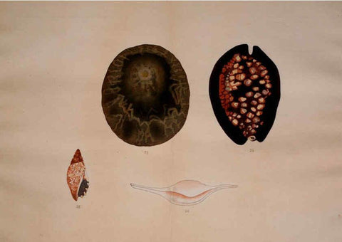 Reproducción/Reproduction 6059265503: Kaisenshu. v.1. Kyoto :Yamada Naozoburo,1914-1915