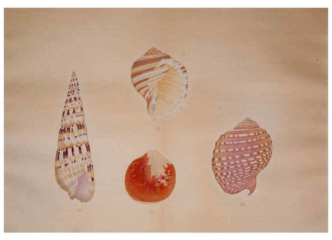 Reproducción/Reproduction 6059265685: Kaisenshu. v.1. Kyoto :Yamada Naozoburo,1914-1915