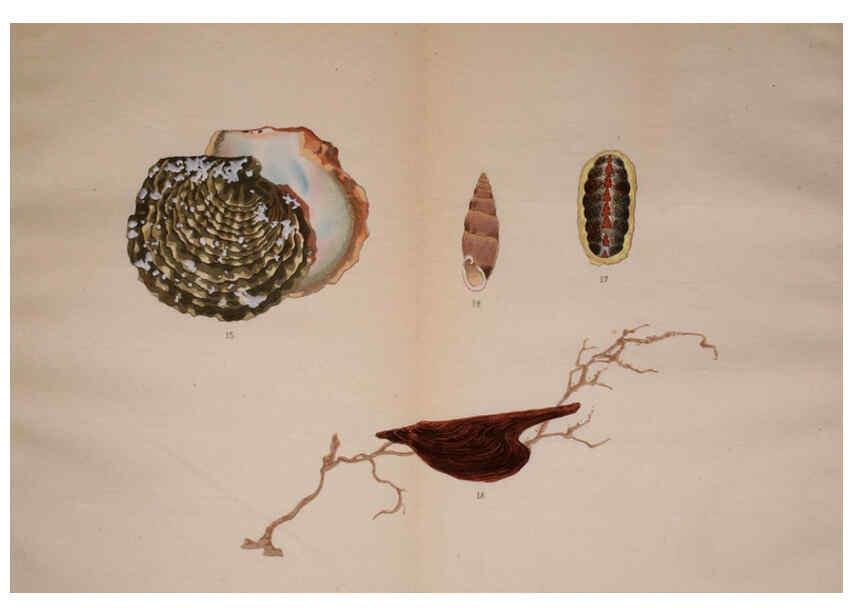 Reproducción/Reproduction 6059813798: Kaisenshu. v.1. Kyoto :Yamada Naozoburo,1914-1915