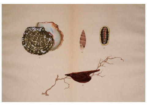 Reproducción/Reproduction 6059813798: Kaisenshu. v.1. Kyoto :Yamada Naozoburo,1914-1915