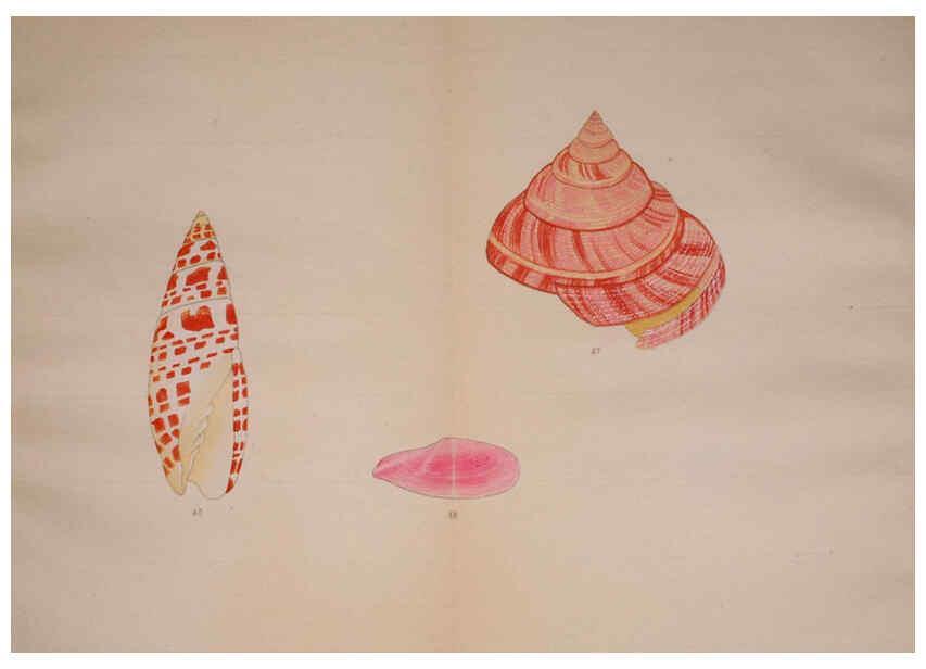 Reproducción/Reproduction 6059264491: Kaisenshu. v.1. Kyoto :Yamada Naozoburo,1914-1915